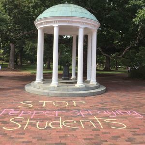 Meet your Posher, Audra